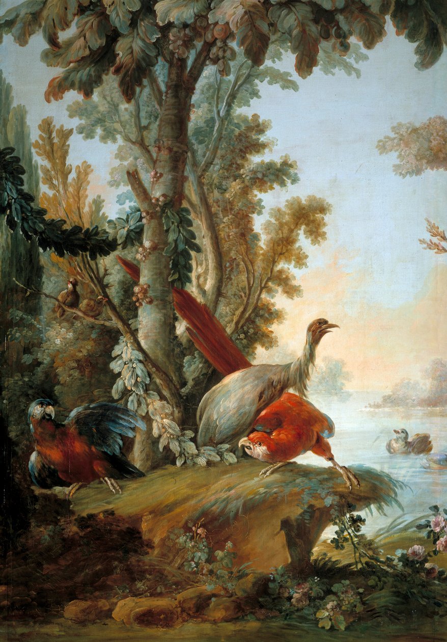 弗朗索瓦·布歇 (Francois Boucher) 的绘画苍鹭和鹦鹉 (1703-1770) 作者 弗朗索瓦·布歇