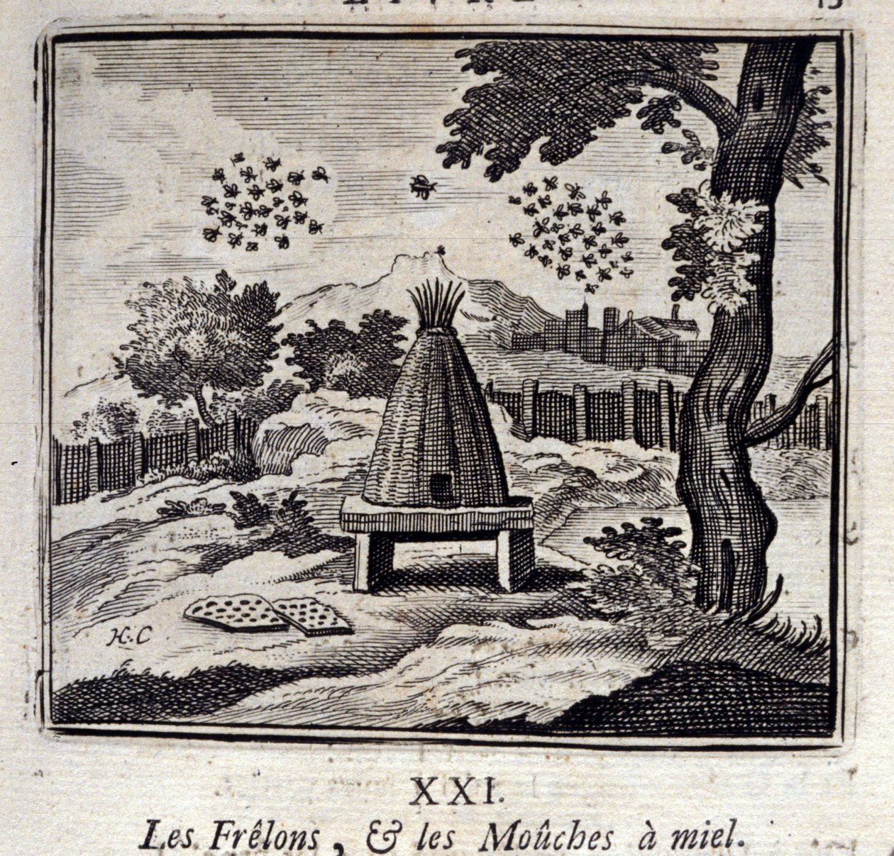 大黄蜂和蜜蝇Jean de La Fontaine (1621-95)的寓言。插图：François Chauveau（1613-1676）。1728年的版本。 作者 弗朗索瓦·夏维