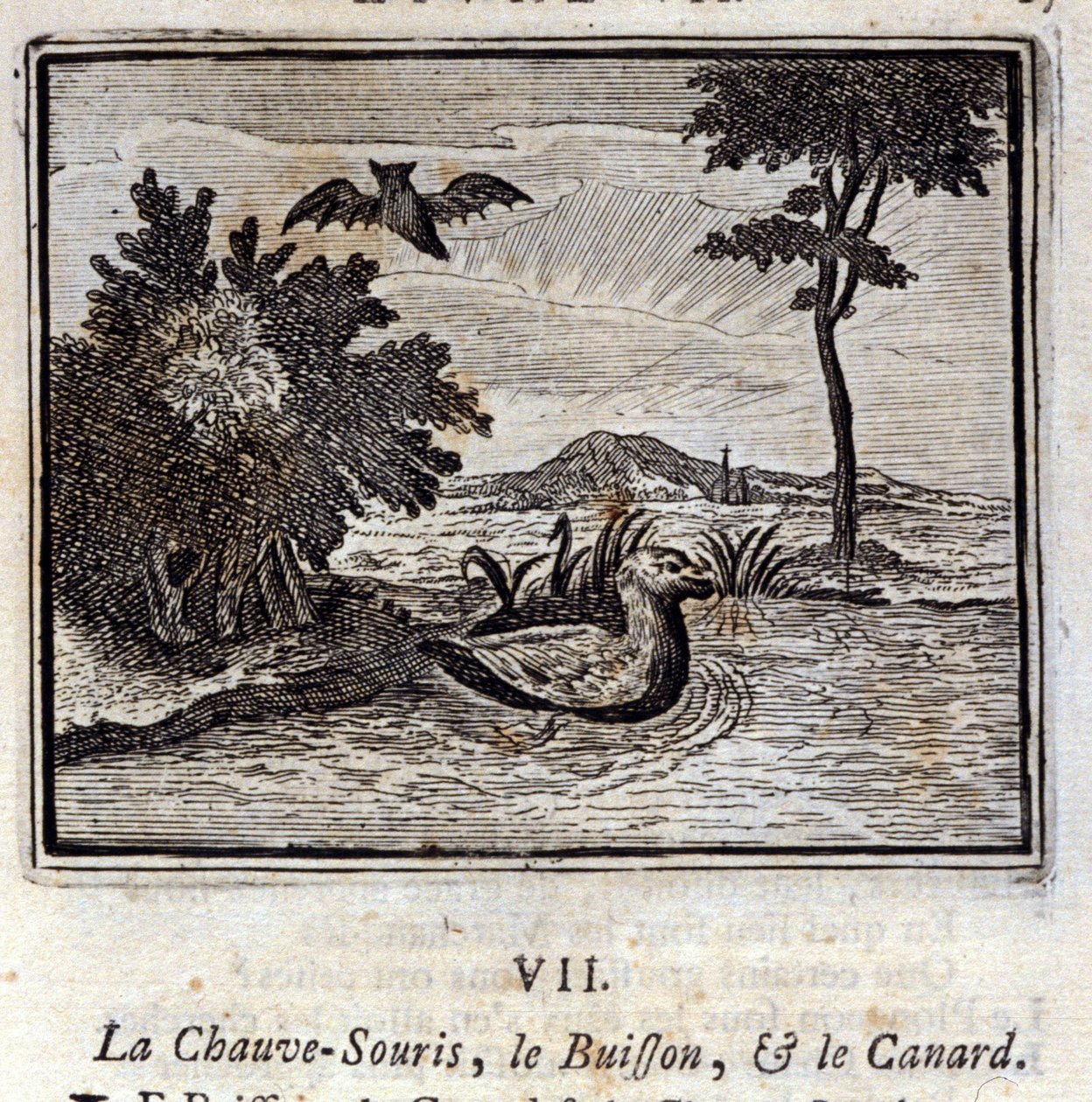 蝙蝠、灌木和鸭子。Jean de La Fontaine (1621-95)的寓言。插图：François Chauveau（1613-1676）。1728年的版本。 作者 弗朗索瓦·夏维