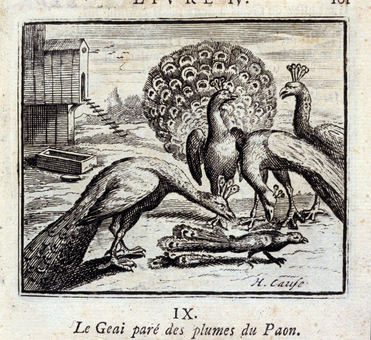 周杰伦装饰着孔雀的羽毛。Jean de La Fontaine (1621-95)的寓言。插图由弗朗索瓦-肖沃（1613-1676）绘制。1728年的版本。 作者 弗朗索瓦·夏维