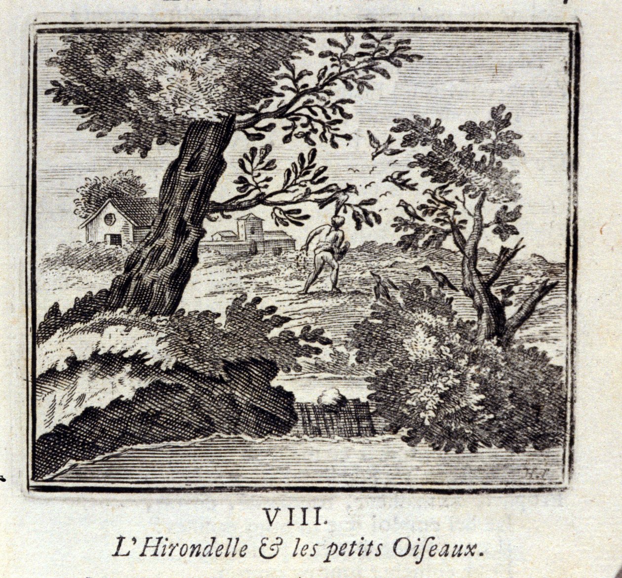 燕子和小鸟。Jean de La Fontaine (1621-95)的寓言。插图：François Chauveau（1613-1676）。1728年的版本。 作者 弗朗索瓦·夏维