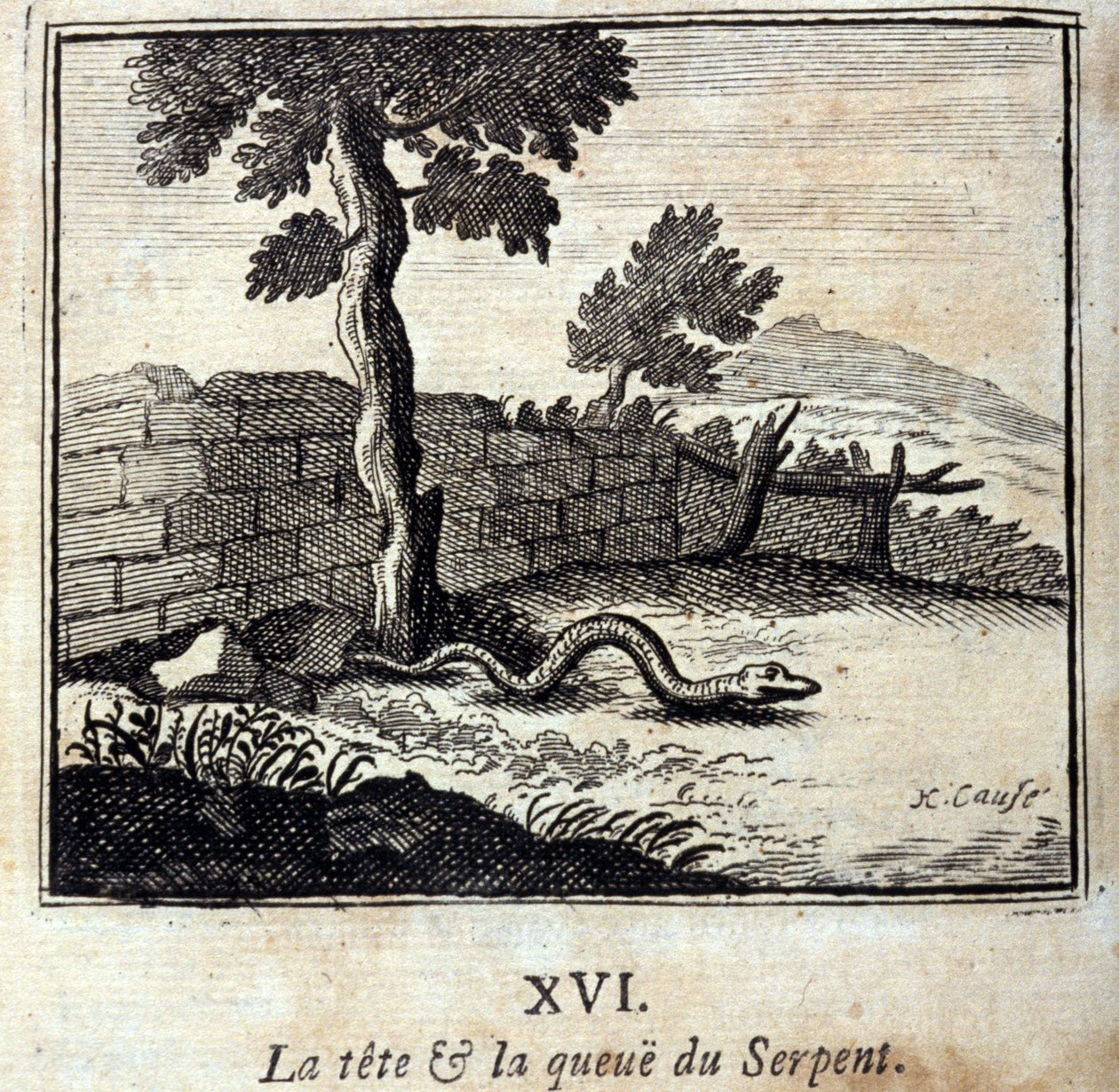 蛇的头和尾。Jean de La Fontaine (1621-95)的寓言。插图：François Chauveau（1613-1676）。1728年的版本。 作者 弗朗索瓦·夏维