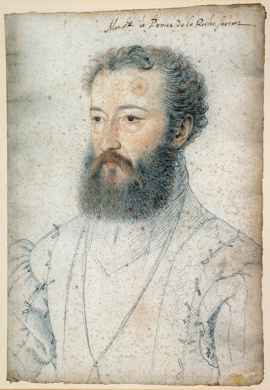 查尔斯·德·波旁 (Charles de Bourbon) 的肖像，拉罗什王子 - sur - Yon (1515-1565)。 克鲁埃·弗朗索瓦（Clouet Francois，1515-1572 年）绘制的血黑色石头 作者 弗朗索瓦·克鲁埃