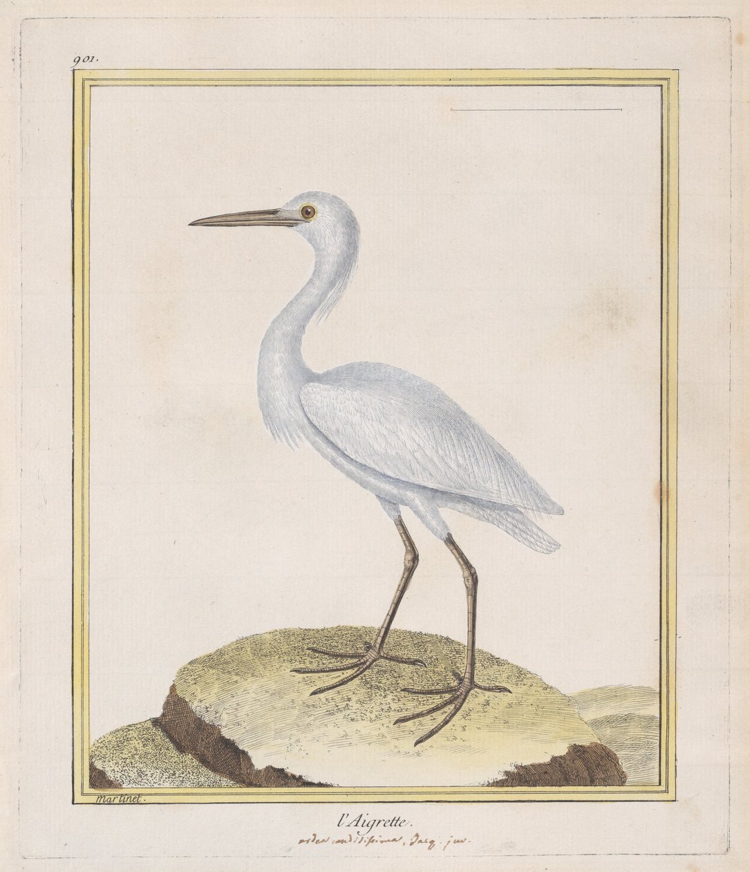 白鹭 白鹭，1770-86。 作者 弗朗索瓦·尼古拉斯·马丁内