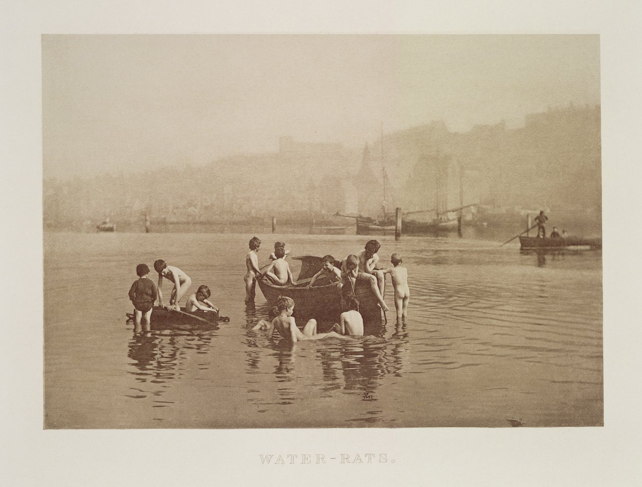 水鼠，c.1889（棕褐色照片） 作者 弗兰克·梅多·萨克利夫