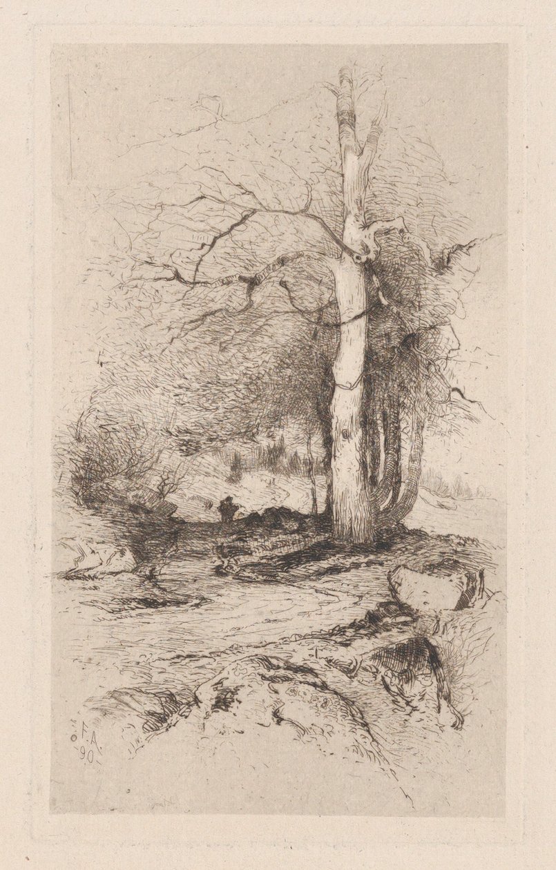 景观，1890年。 作者 弗兰克·安德森