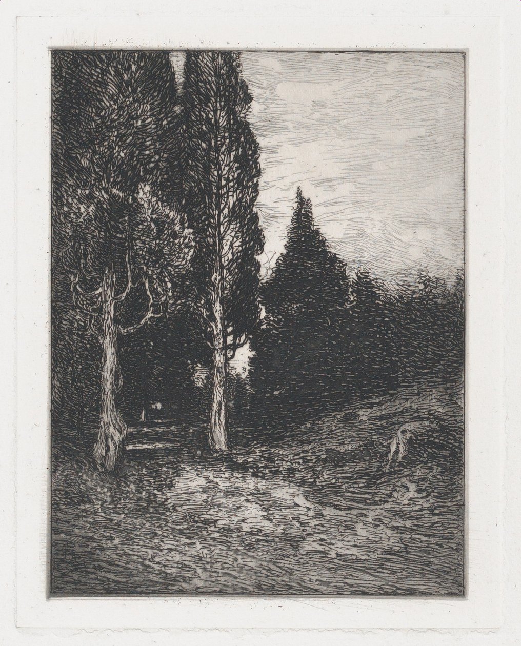 景观，约1880-91。 作者 弗兰克·安德森