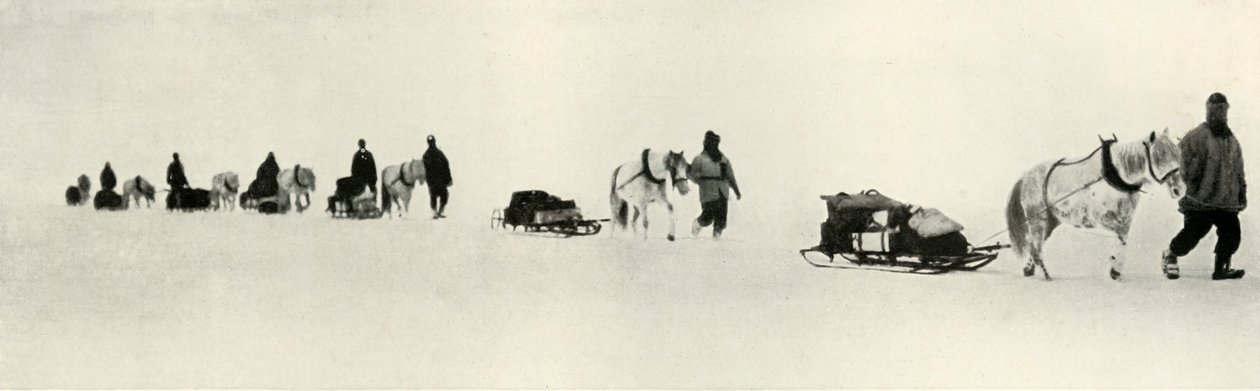 1911年3月，1913年的小马 作者 弗兰克·德本汉