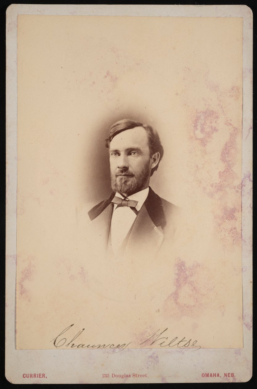 Chauncey Wiltse的肖像 1834-1894，1875-1876。 作者 弗兰克·F·库里尔