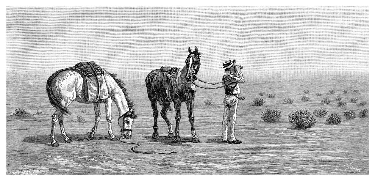 《视而不见》，1886年。 作者 弗兰克·马洪尼