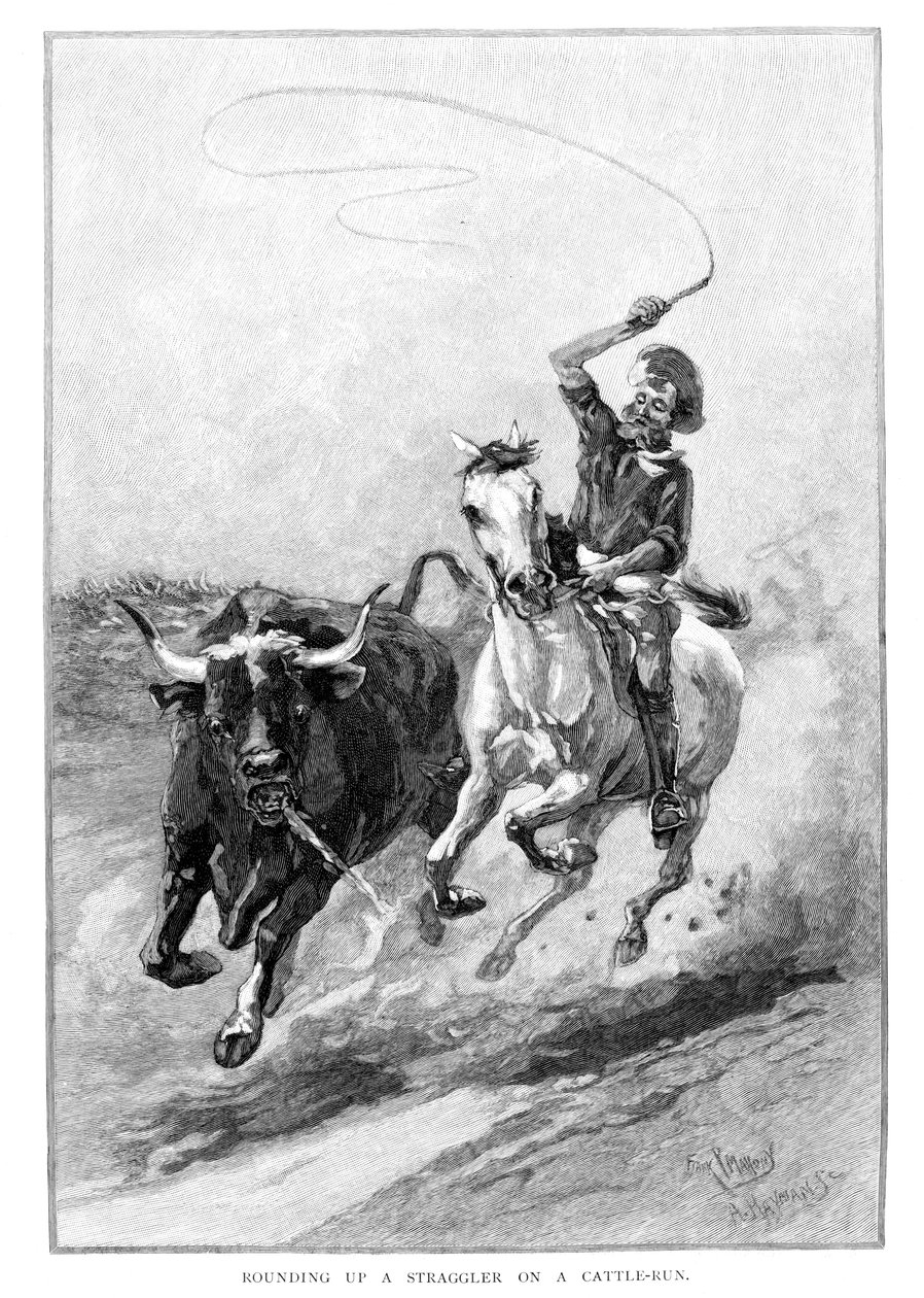 1886年，在澳大利亚的牛群奔跑中追赶一只流浪者 作者 弗兰克·马洪尼