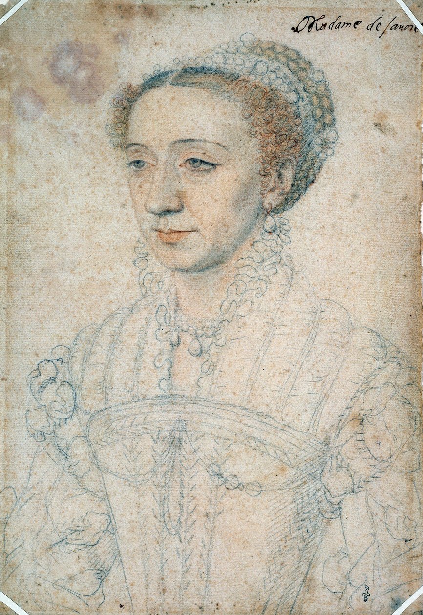 玛格丽特·德·法兰西 (Marguerite de France) 的肖像，萨伏依公爵夫人弗朗索瓦一世 (1523 - 1574) 的女儿。 弗朗索瓦·克鲁埃（Francois Clouet，1515-1572 年）用黑色石头和血作画 作者 弗朗索瓦·克鲁埃