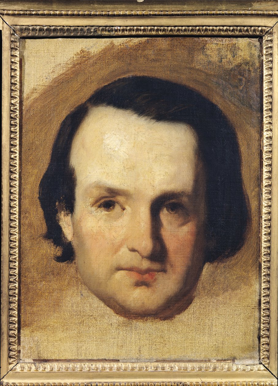 研究维克多雨果的肖像（1802-85）c.1836 作者 弗朗索瓦·约瑟夫·海姆