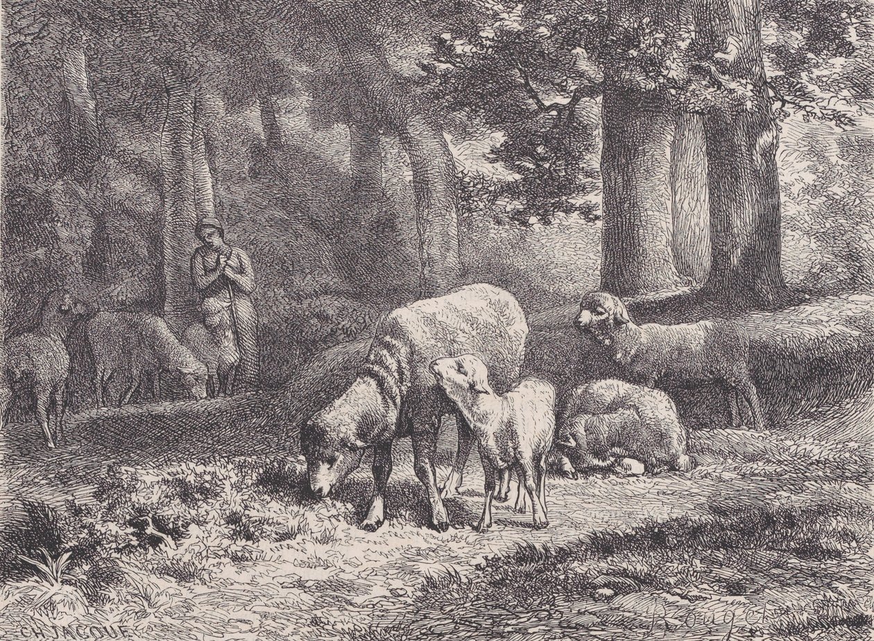 Les Moutons，来自Magasin Pittoresque，1862年。 作者 弗朗索瓦·鲁热