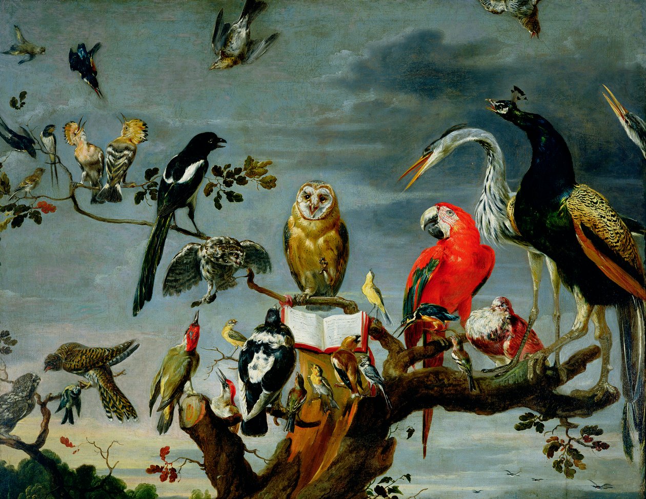 鸟类音乐会 作者 Frans Snyders或Snijders