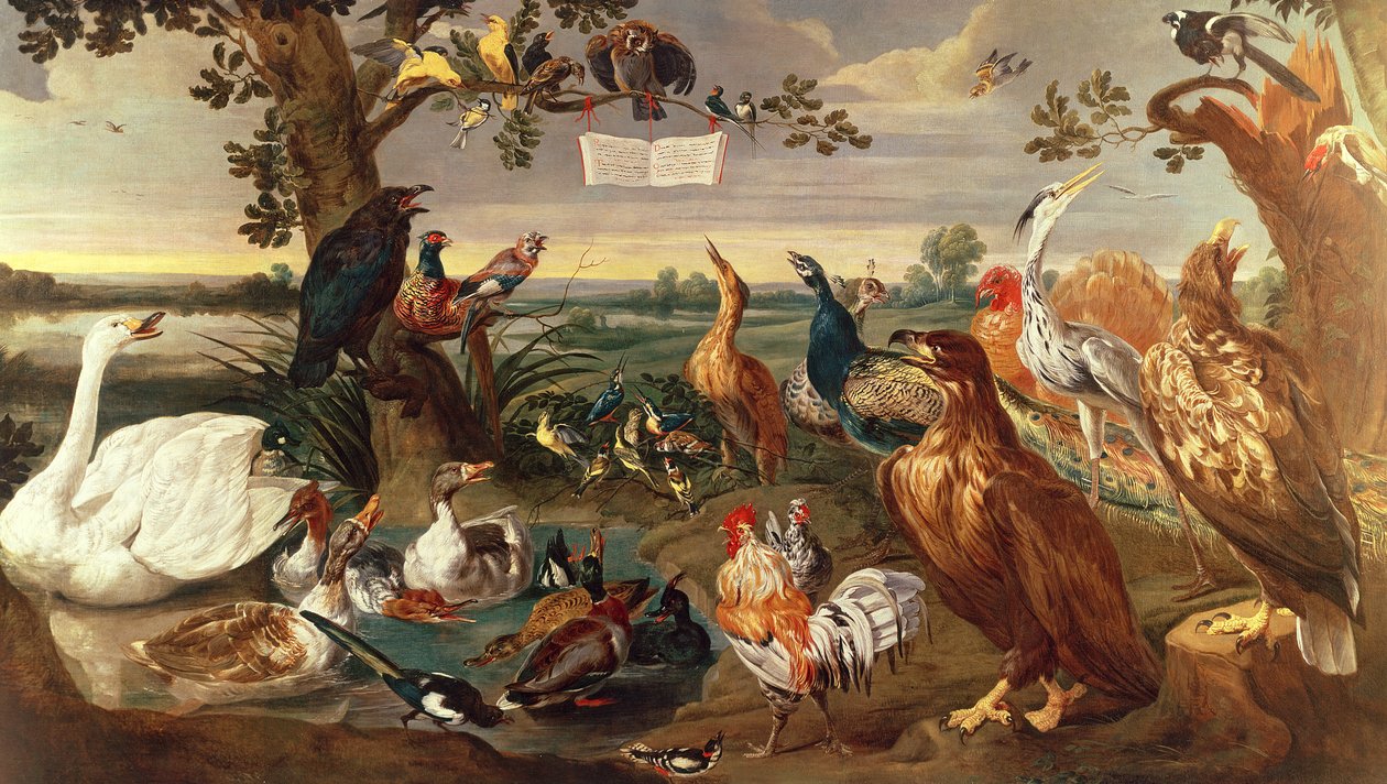 各种鸟类 作者 Frans Snyders或Snijders