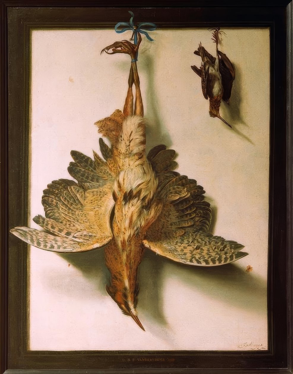 Trompe d&39;oeil与死鸟 作者 弗朗斯·库克（Frans Cuyck van Meyerop）