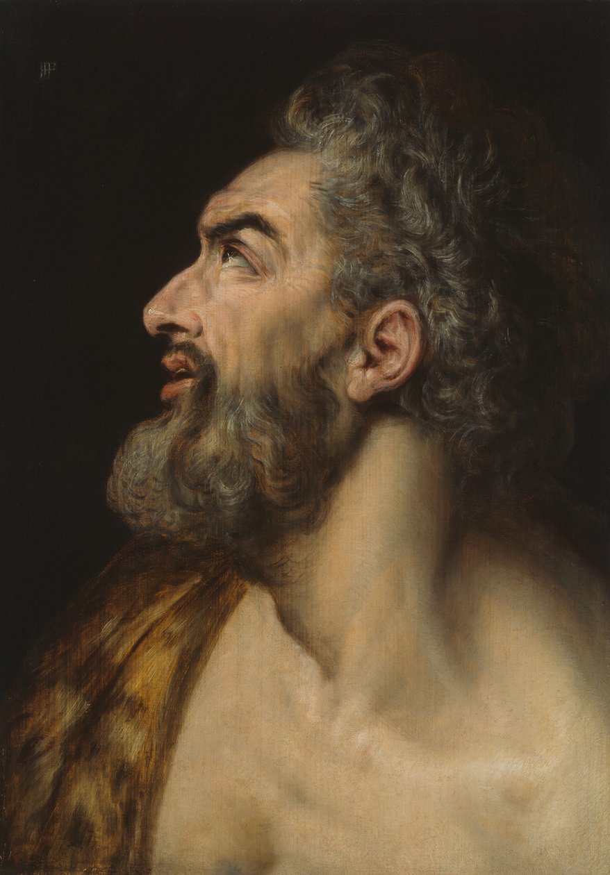 大胡子的研究头像，约1565年。 作者 弗朗斯·弗洛里斯（Frans Floris）