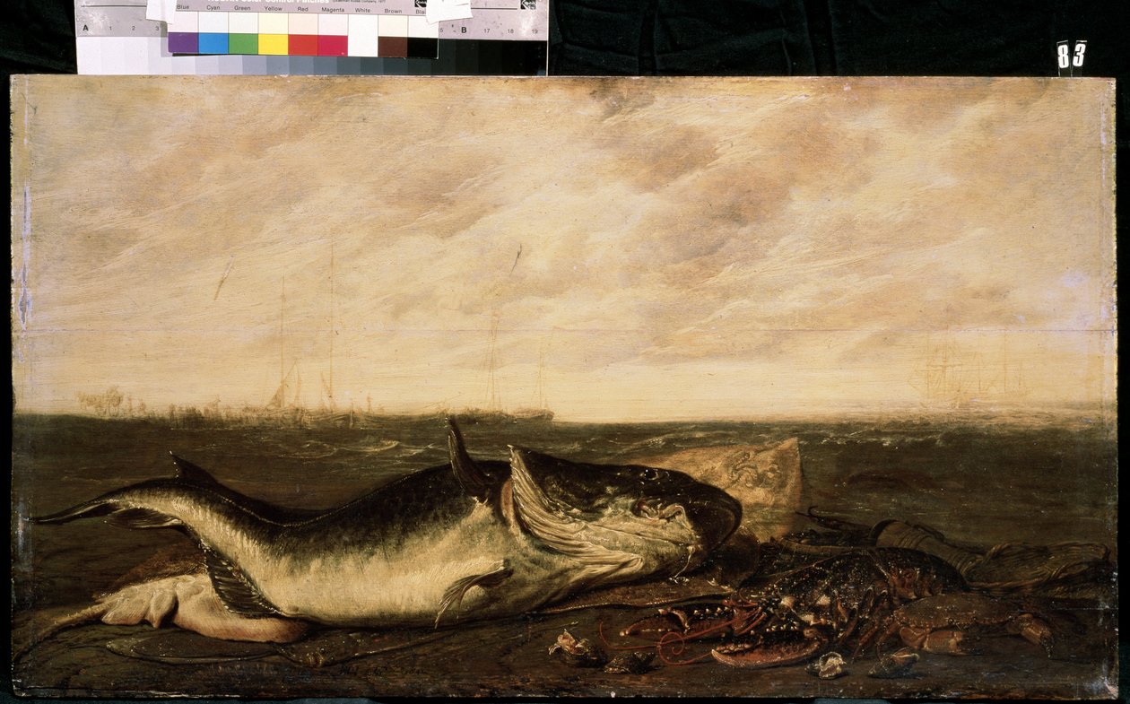 海边的鱼和龙虾。Frans Ryckhals（1600-1647 年之后）的作品。布面油画，47 x 83.5 厘米 作者 弗朗斯·瑞卡斯（Frans Ryckhals）