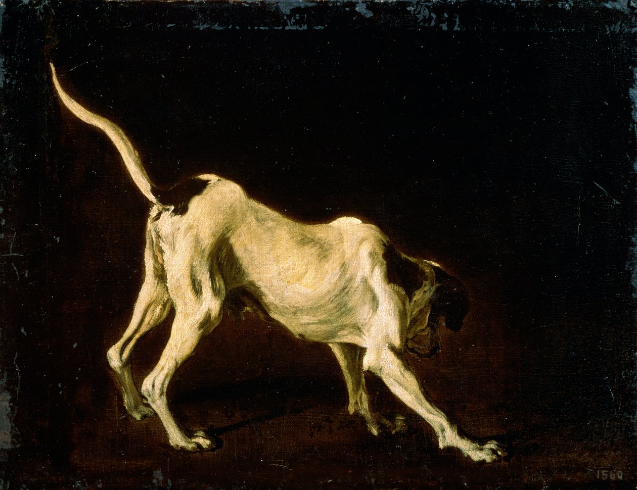 狗，十七世纪 作者 Frans Snyders或Snijders
