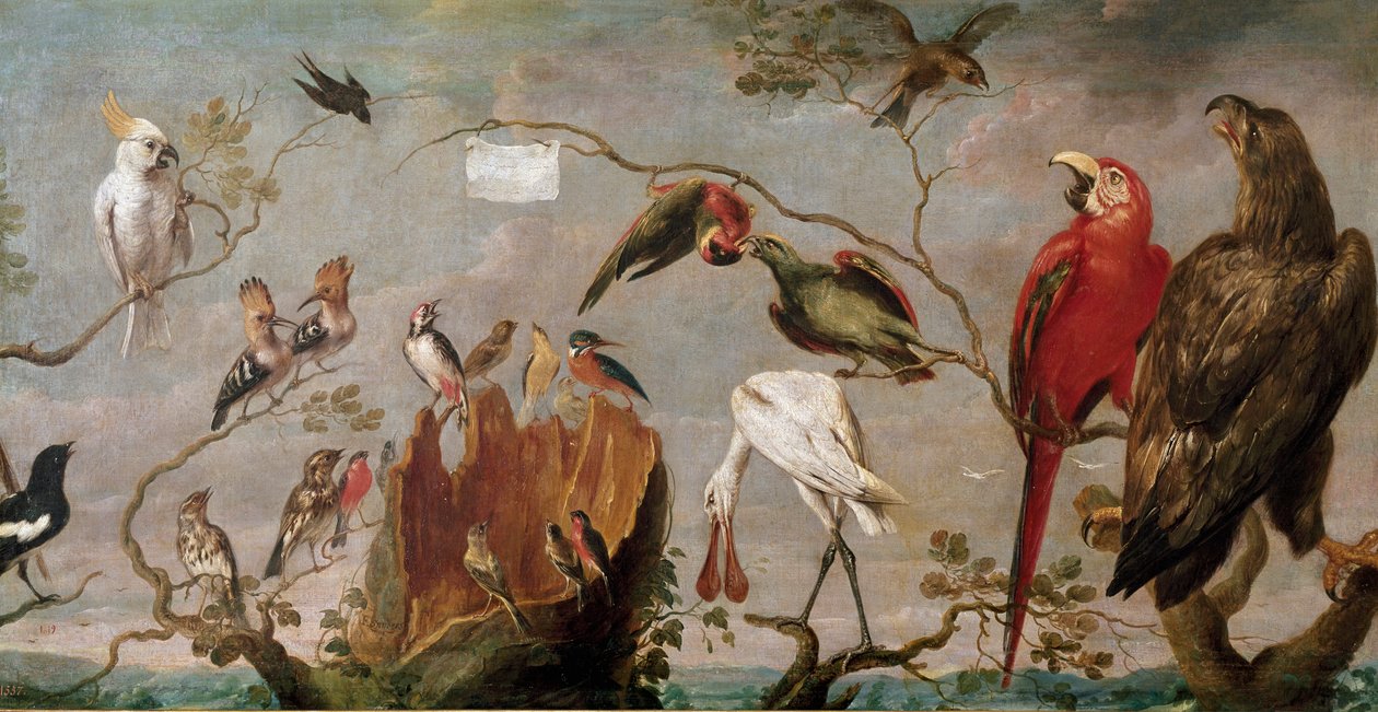 弗兰斯·斯奈德斯 (Snijders) (1579-1657) 的鸟类音乐会绘画 17 世纪马德里，普拉多博物馆 作者 弗兰斯·斯奈德斯（Frans Snyders）