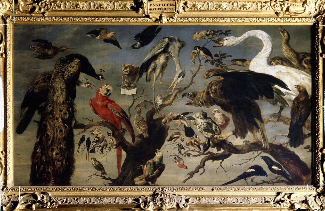 鸟儿的音乐会弗兰斯-斯奈德斯（1579-1657 年）的画作。布面油画 作者 弗兰斯·斯奈德斯（Frans Snyders）