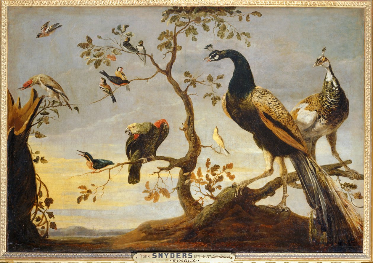 树枝上的 Poseaux ... 作者 弗兰斯·斯奈德斯（Frans Snyders）