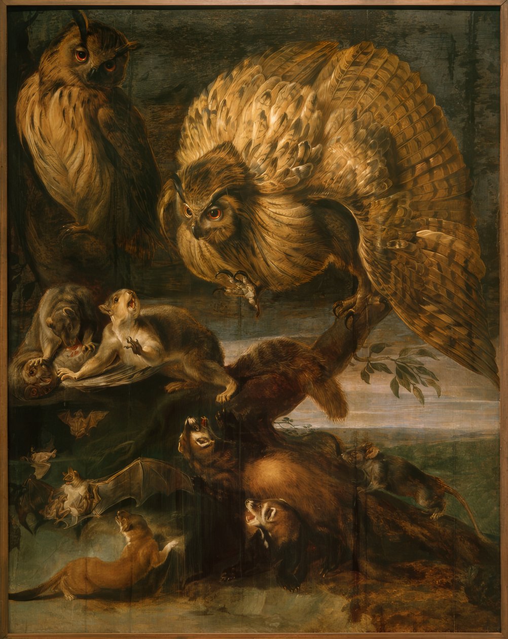 夜晚的动物 作者 弗兰斯·斯奈德斯（Frans Snyders）