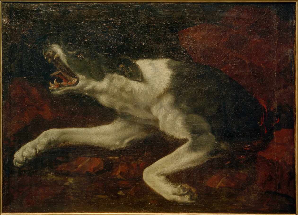 受伤的狗 作者 Frans Snyders或Snijders