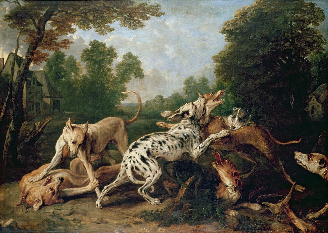 狗在树木繁茂的空地里战斗 作者 Frans Snyders或Snijders