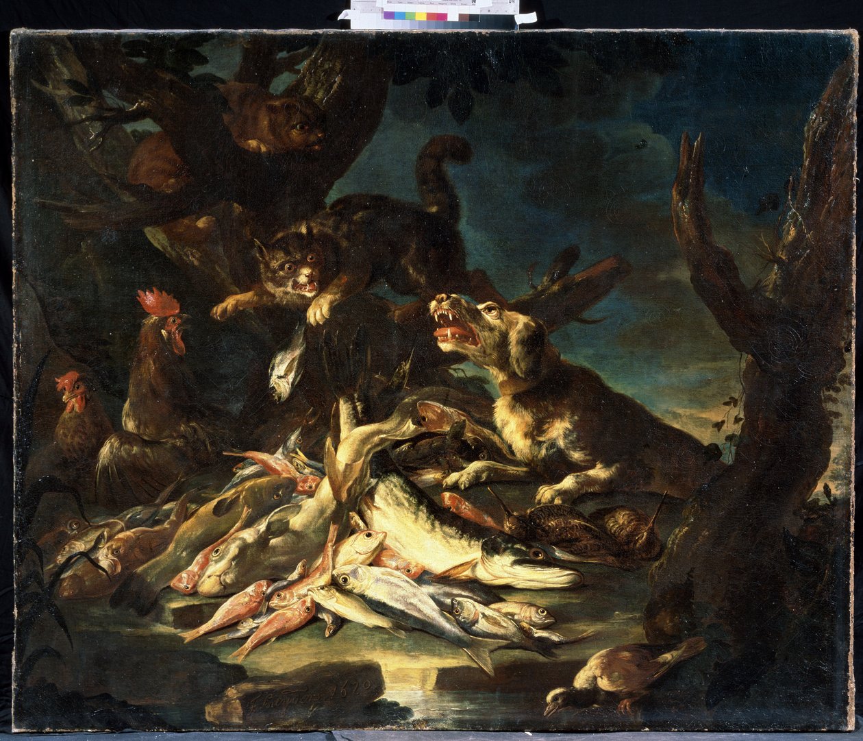 鱼弗兰斯-斯奈德斯（1579-1657 年）的画作。布面油画 作者 Frans Snyders或Snijders