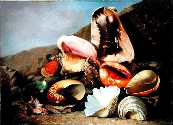 贝壳的静物（布面油画 作者 弗朗兹·安东·冯·谢德尔