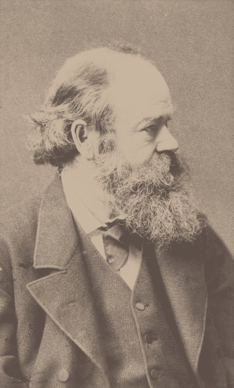 作曲家罗伯特·冯·霍恩斯坦（Robert von Hornstein）的肖像1833-1890。 作者 弗朗茨·汉夫斯坦格尔