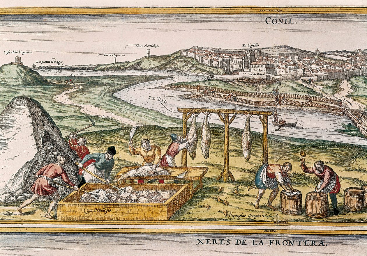 Conil de la Frontera，渔民将鱼晒干、切割、出售并装在桶中出售，来自“Civitatis Orbis Terrarum” 作者 弗朗兹·霍根伯格