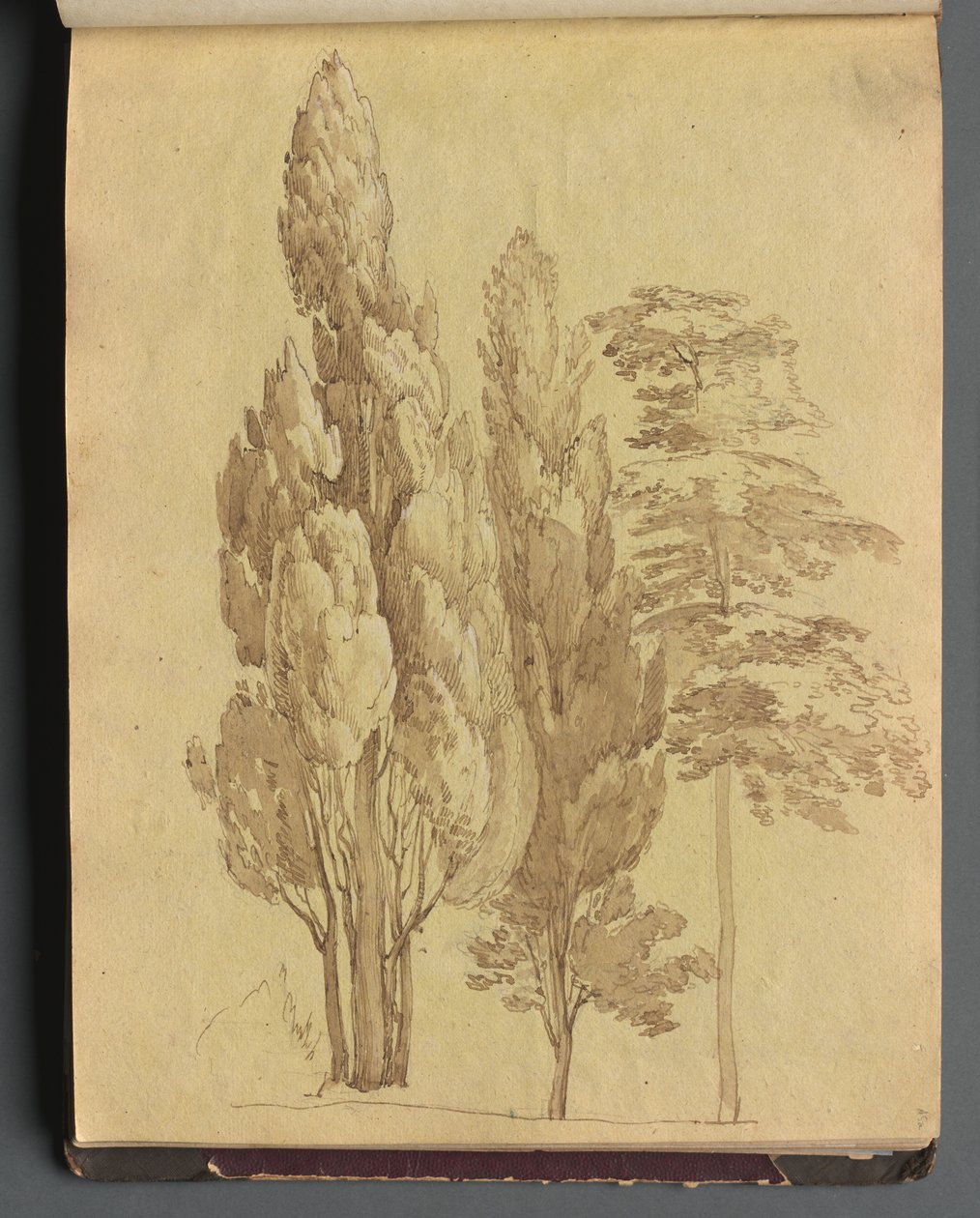 罗马及周边地区景观专辑，景观研究，第15a页：树木。 作者 弗朗茨·约翰·海因里希·纳多普