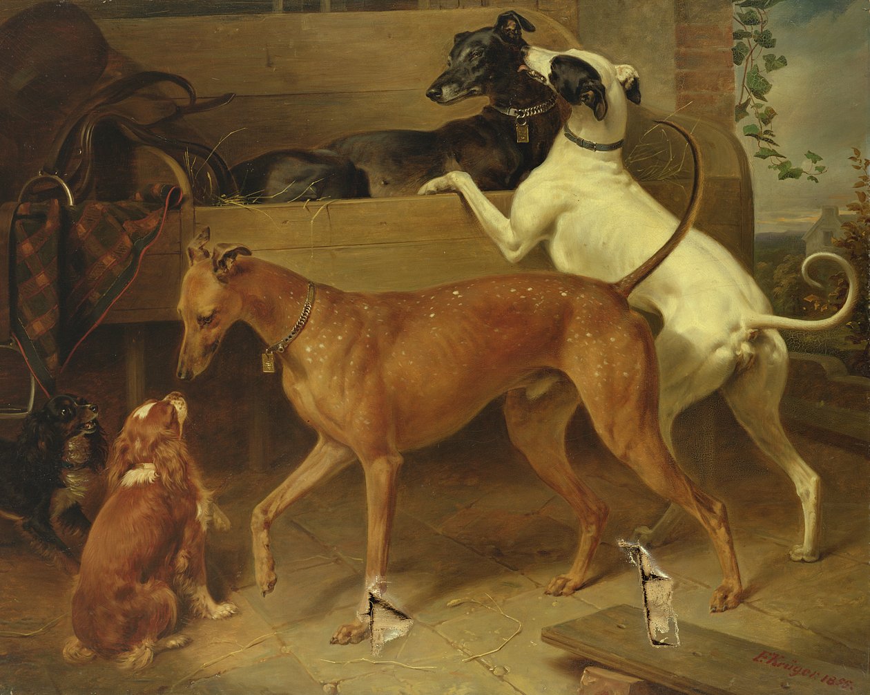 克鲁格斯狗，1855年 作者 弗朗兹·克鲁格（Franz Kruger）