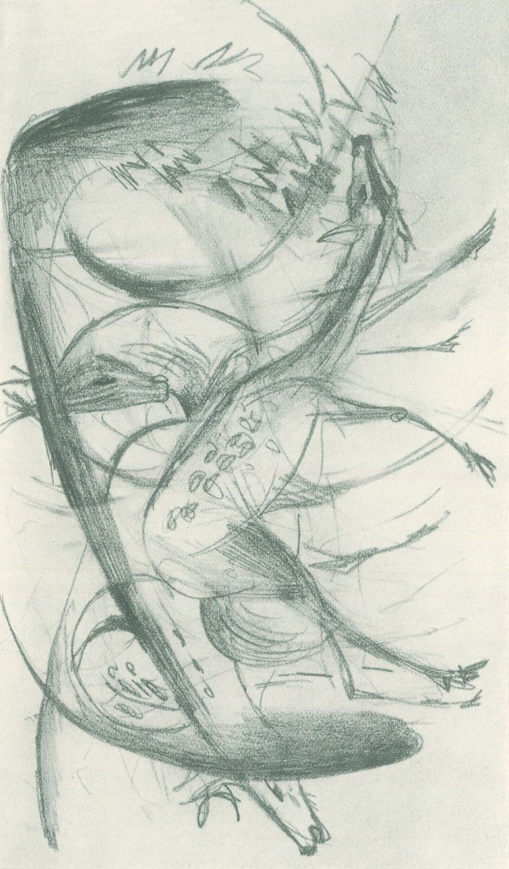 弗朗茨-马克 - 野外写生簿 - 第 36 张 作者 弗朗兹·马克（Franz Marc）