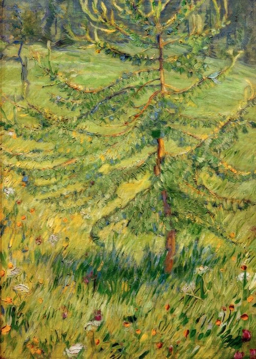 在森林的草地上的年轻落叶松 作者 弗朗兹·马克（Franz Marc）