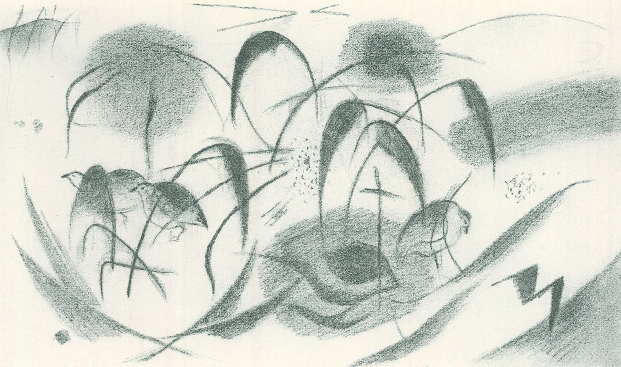 几内亚鸡 作者 弗朗兹·马克（Franz Marc）