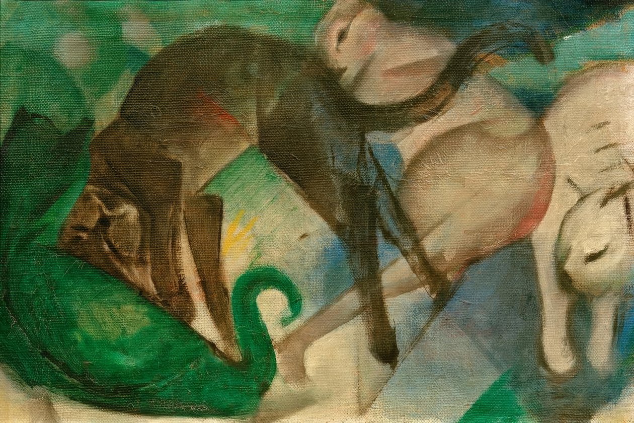 玩猫（猫图片） 作者 弗朗兹·马克（Franz Marc）