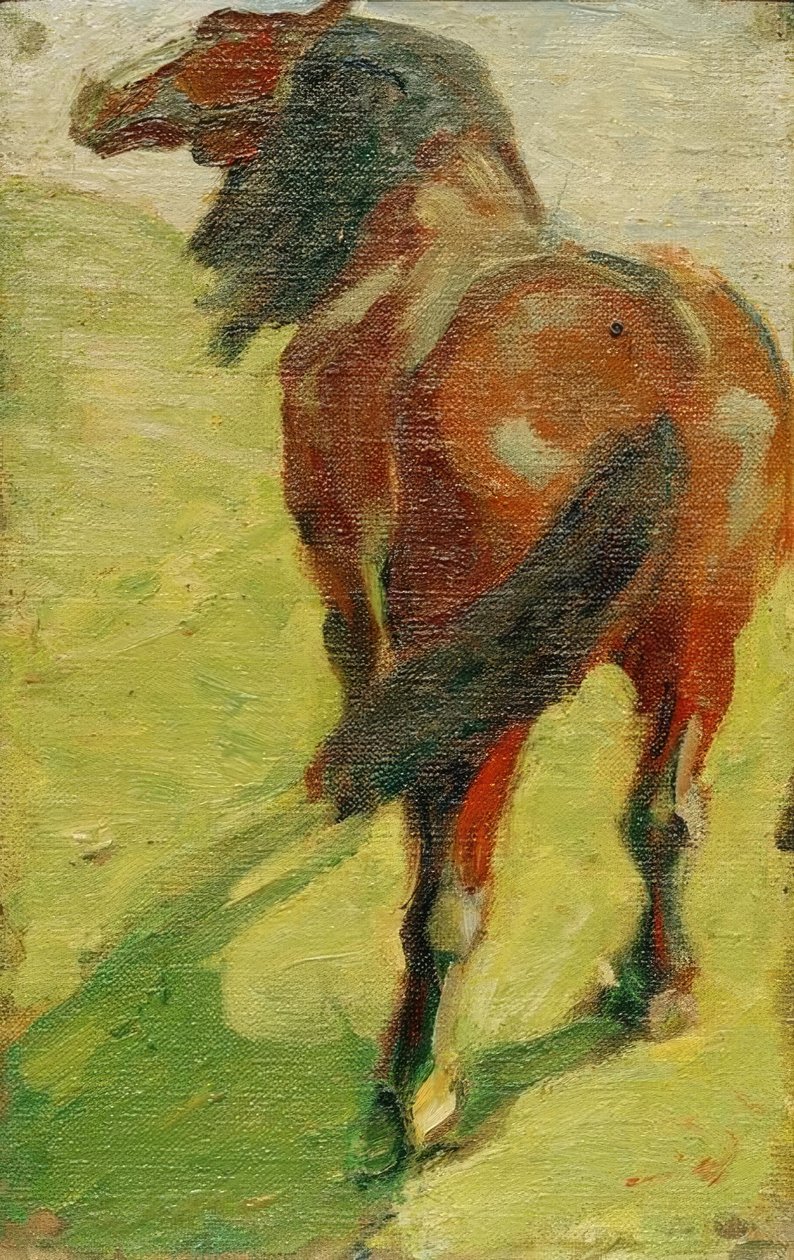 研究一匹马 作者 弗朗兹·马克（Franz Marc）