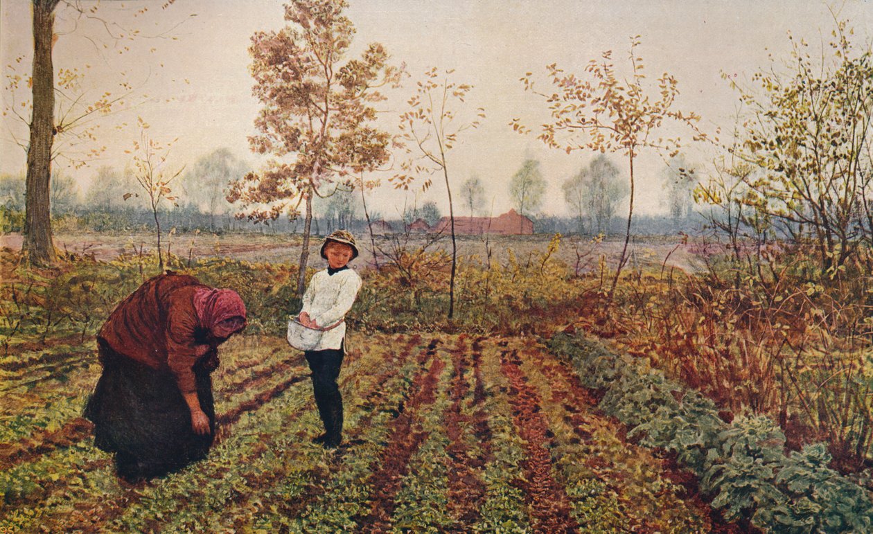 紫罗兰田（1867），c1915 作者 弗雷德·沃克