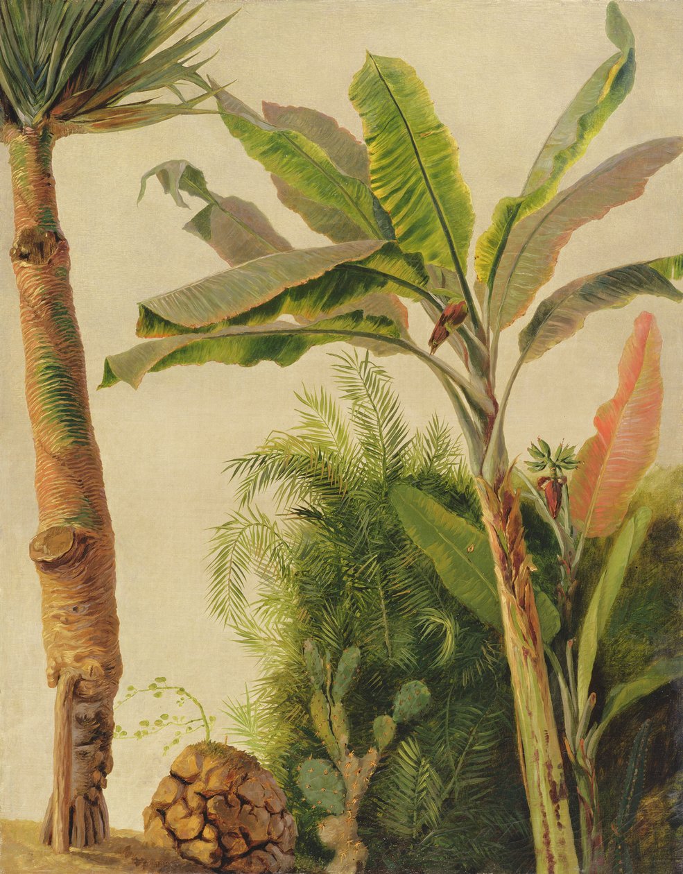 香蕉树，1865年（布面油画） 作者 弗雷德里克·埃德温·丘奇