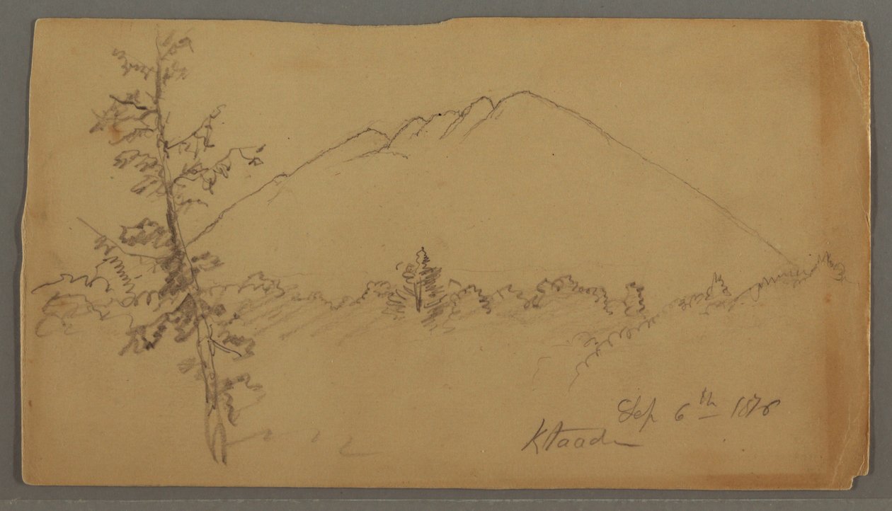 绘画，山Katahdin，森林，在前景的树 作者 弗雷德里克·埃德温·丘奇