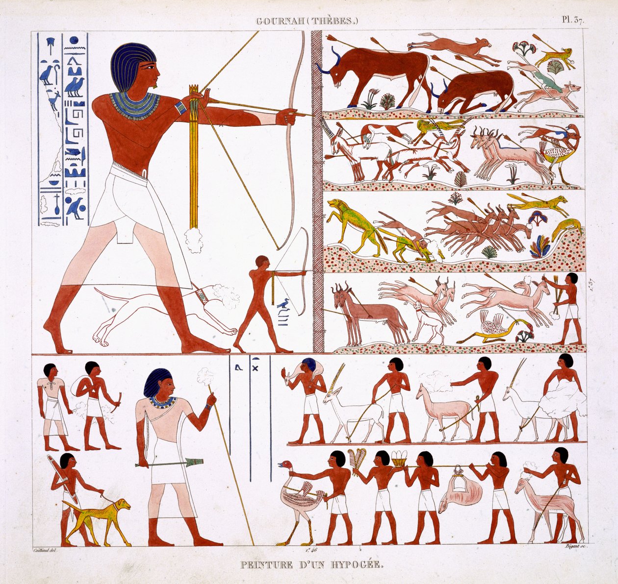来自底比斯壁画的罕见记录中的狩猎场景记录了1819  -  1822年弗雷德里克·凯利亚德（Frederic Cailliaud，1787-1869）第二次访问埃及时的彩色石版画 作者 弗雷德里克·卡里奥（Frederic Cailliaud）