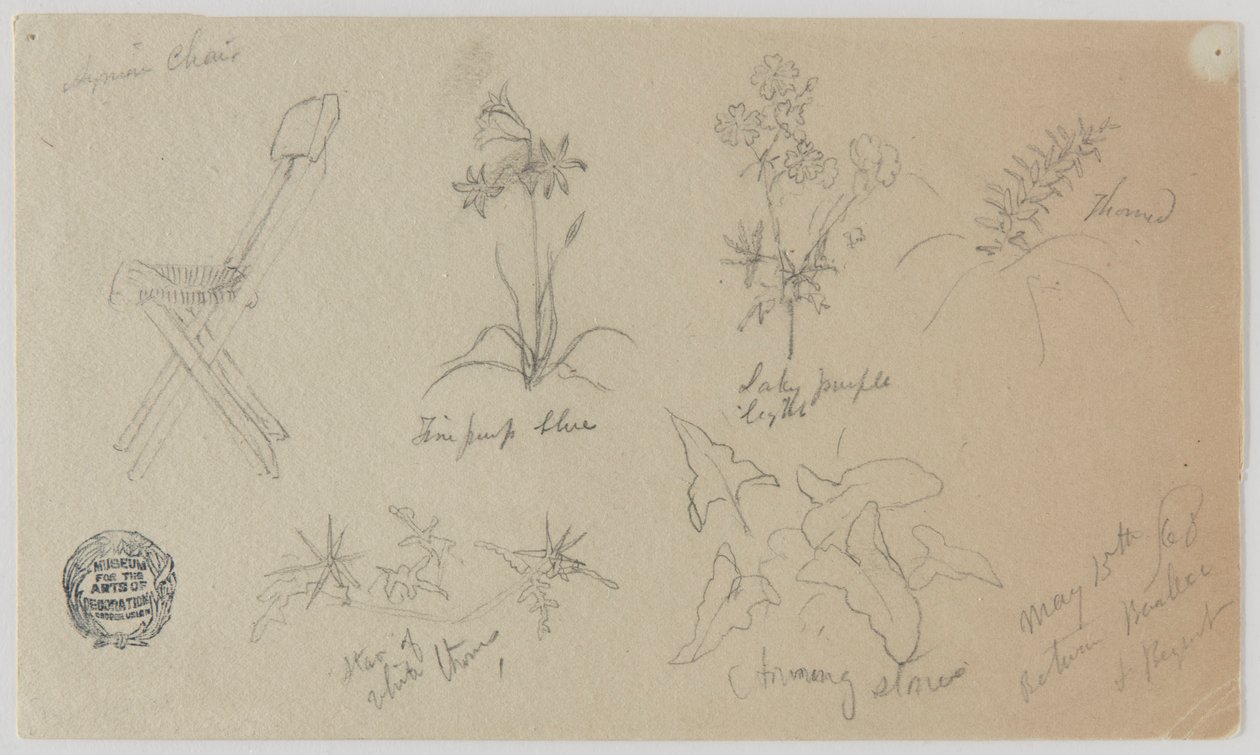椅子和开花植物，巴勒贝克 作者 弗雷德里克·埃德温·丘奇