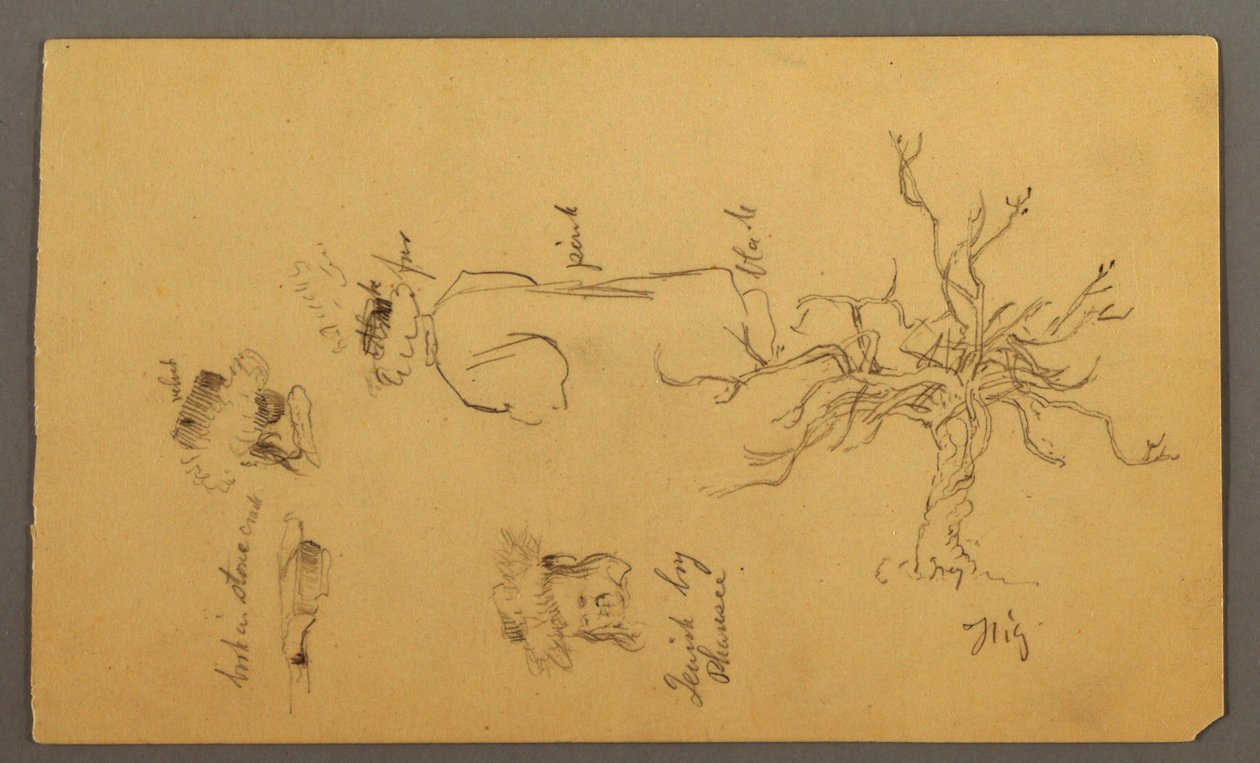 被描述为法利赛人、无花果树和人头的犹太男孩的服装设计，巴勒斯坦 作者 弗雷德里克·埃德温·丘奇