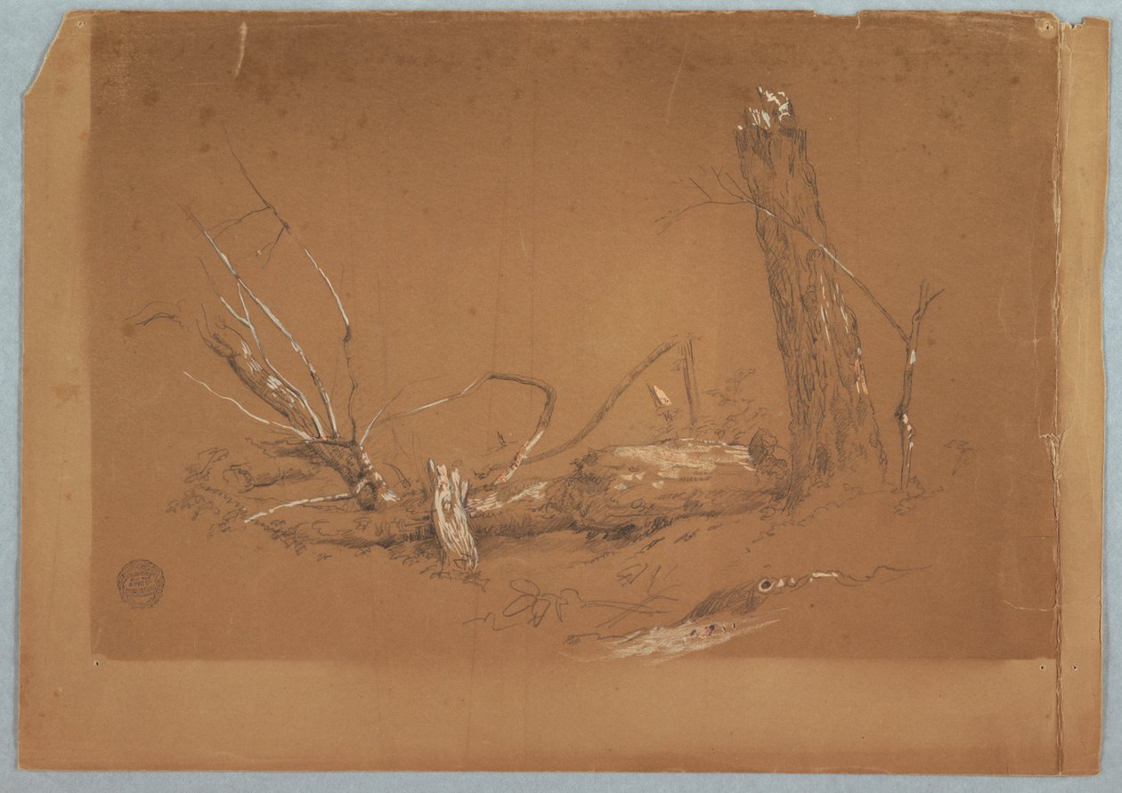 绘画，一棵折断的枯树，1855-65 年 作者 弗雷德里克·埃德温·丘奇