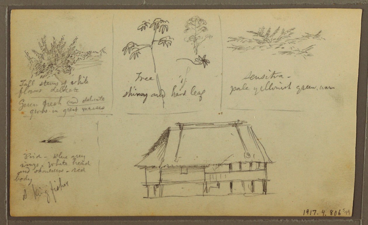 素描，一个堡垒；背面：植物素描，房屋，1857 年 作者 弗雷德里克·埃德温·丘奇
