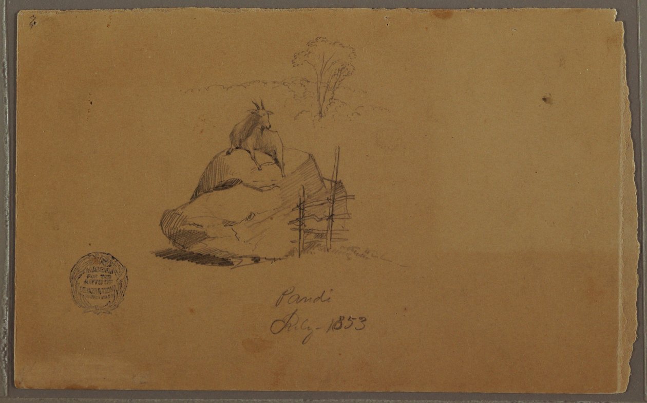 绘画，哥伦比亚潘迪的山羊，1853 年 7 月 作者 弗雷德里克·埃德温·丘奇